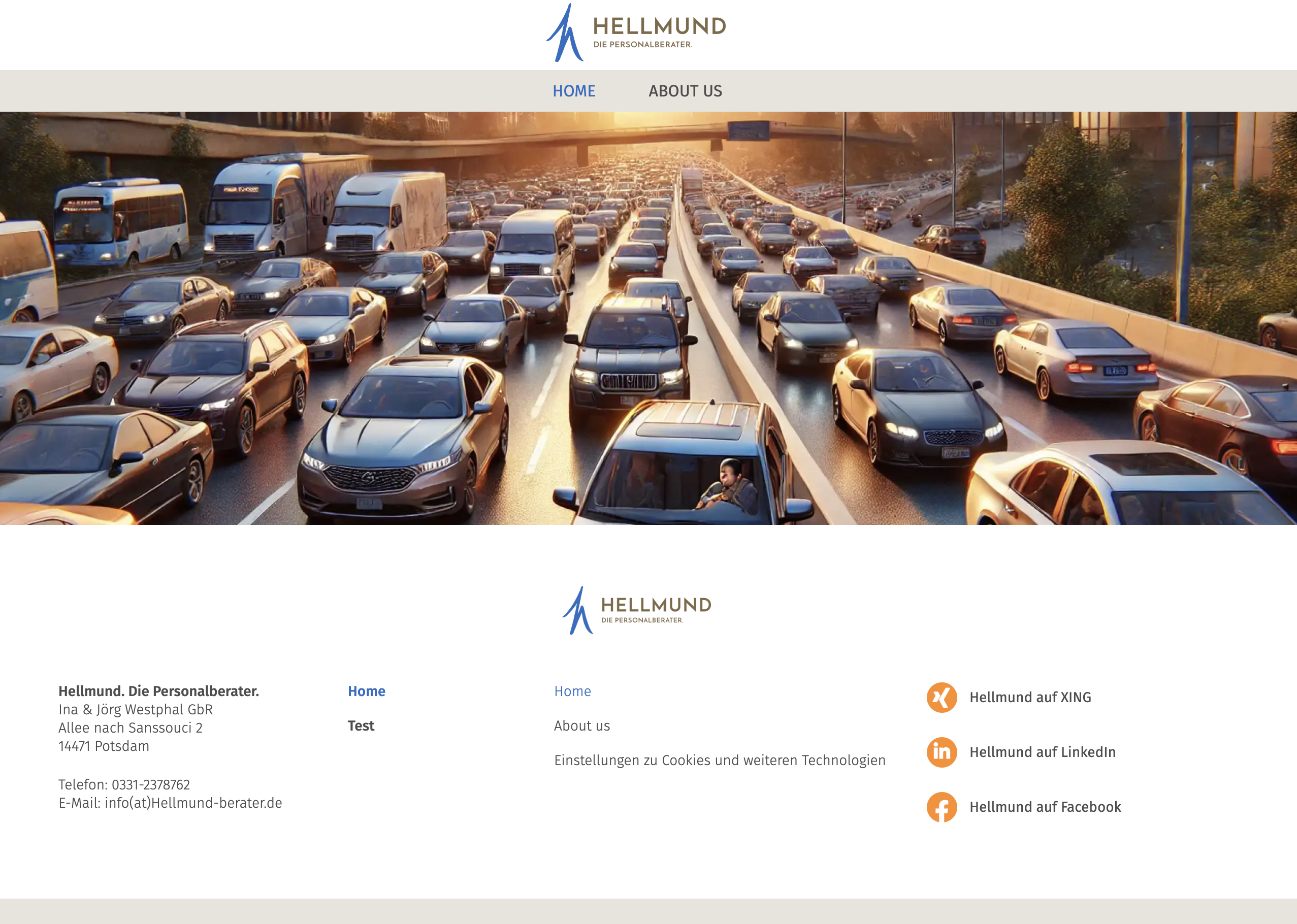 Theme two homepage preview